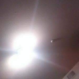 Meet your Posher, Bobby